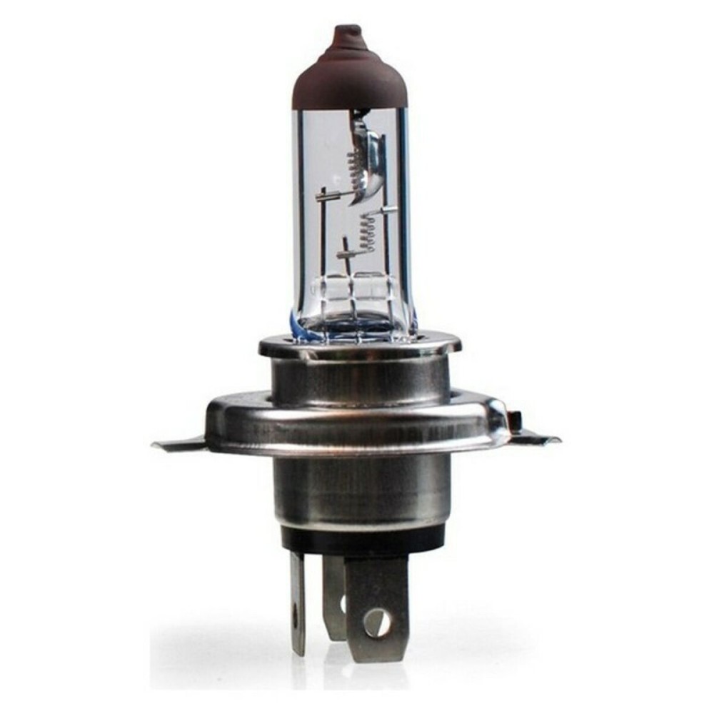 Glühbirne M-Tech Z907 24v 70W 75W H4