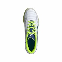 Chaussures de Football pour Adultes Adidas Top Sala Competition Blanc