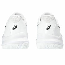 Padel-Sportschuhe für Erwachsene Asics Gel-Challenger 14 Padel Weiß