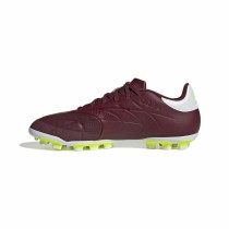 Chaussures de Football pour Adultes Adidas Copa Pure 2 League 2G/3G Marron
