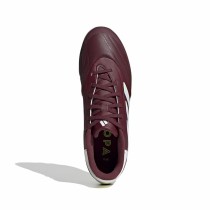 Chaussures de Football pour Adultes Adidas Copa Pure 2 League 2G/3G Marron