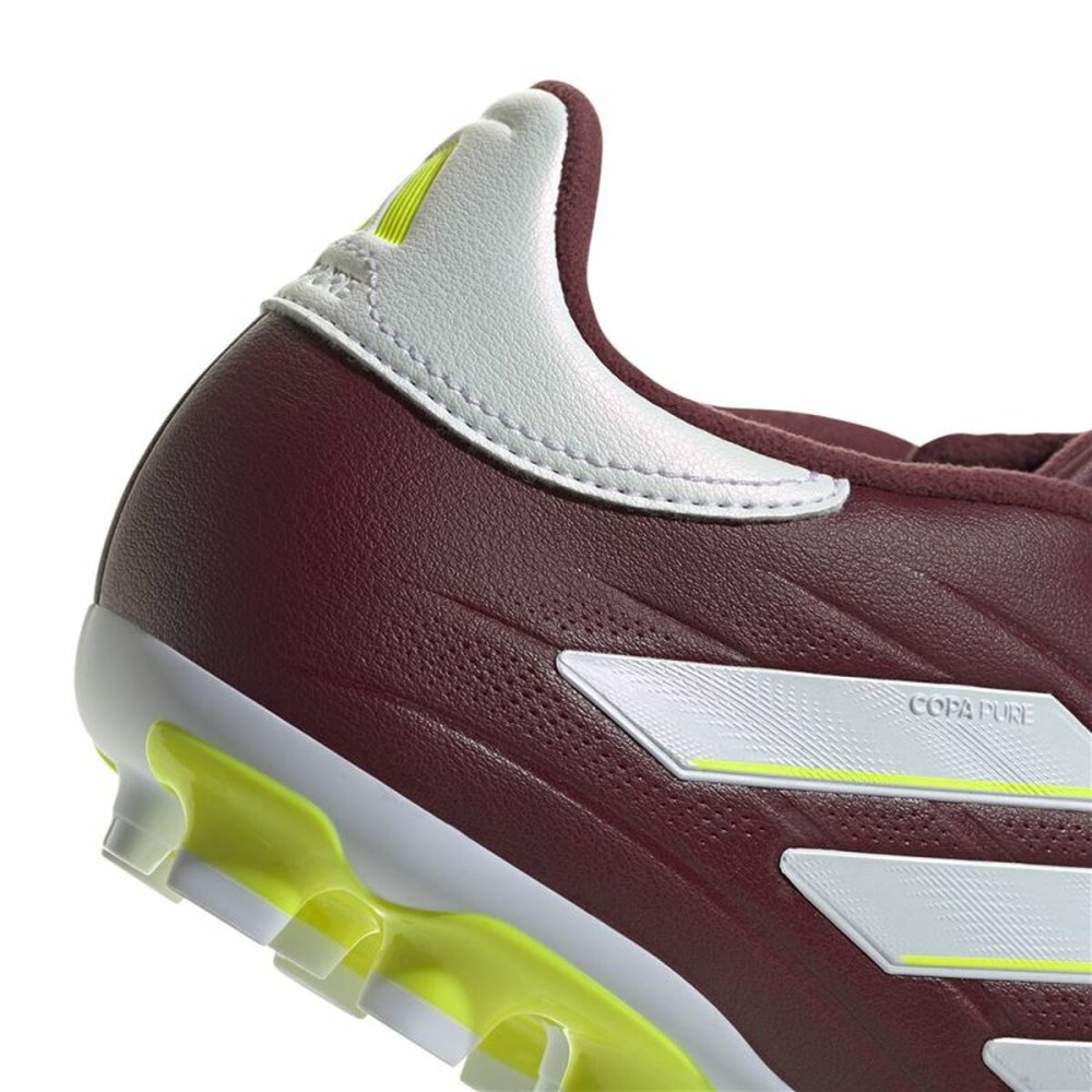 Chaussures de Football pour Adultes Adidas Copa Pure 2 League 2G/3G Marron