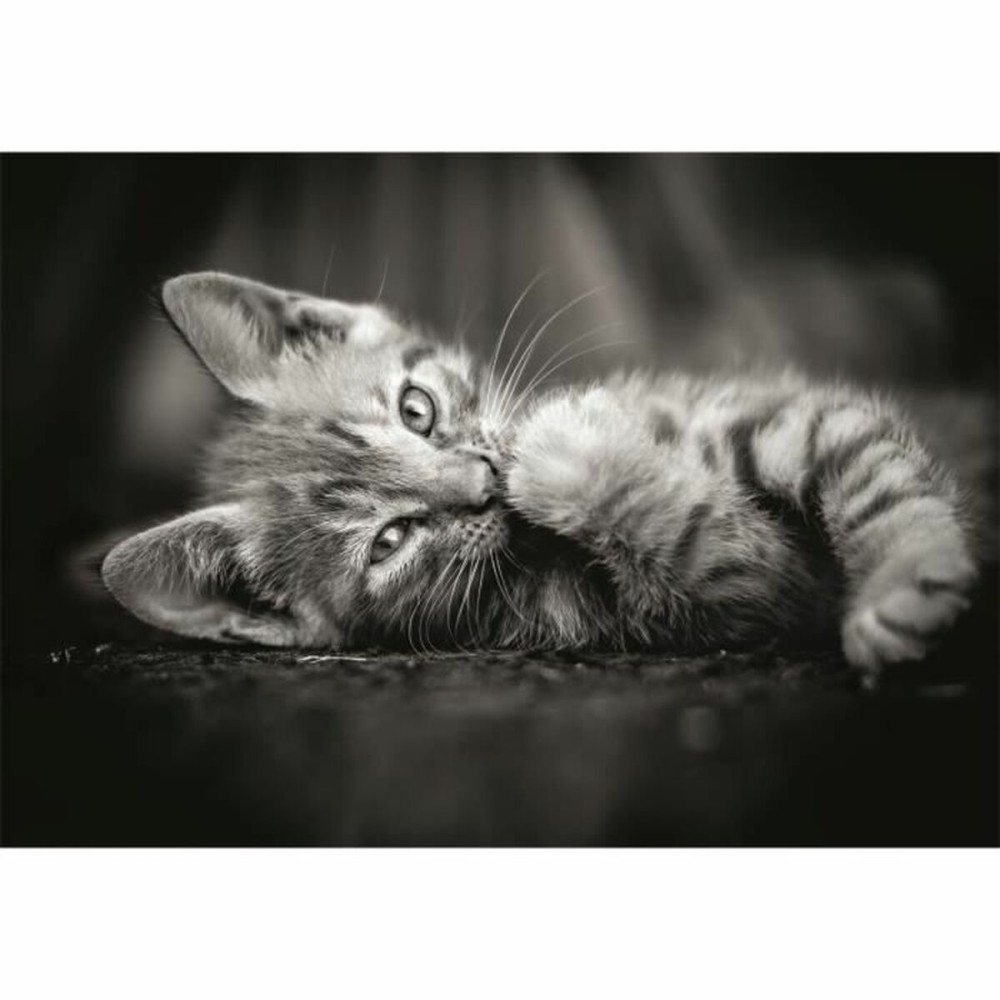 Puzzle Clementoni Kitty 1000 Pièces