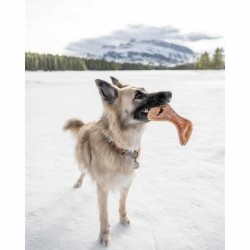 Dog chewing toy Benebone animals