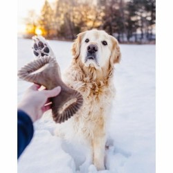 Dog chewing toy Benebone animals