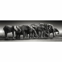 Puzzle Clementoni