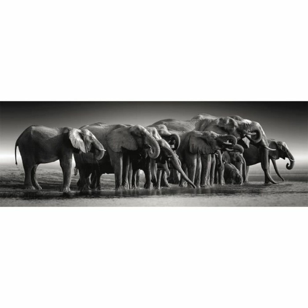 Puzzle Clementoni