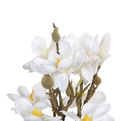 Branche Blanc Vert 37 x 20 x 41 cm Magnolia