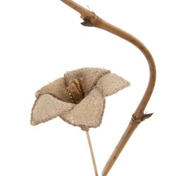 Zweig Beige Blume 27 x 27 x 170 cm