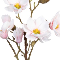 Plante décorative Polyester Polyéthylène Fer 25 x 25 x 49 cm Magnolia