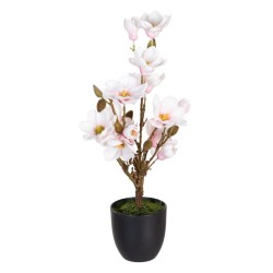 Plante décorative Polyester Polyéthylène Fer 30 x 30 x 60 cm Magnolia