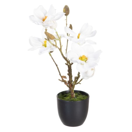 Decorative Plant Polyester Polyethylene Iron 22 x 22 x 38 cm Magnolia