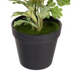 Plante décorative Polyester Polyéthylène Fer Fleur 12,5 x 12,5 x 37 cm