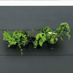 Hanging Planter Nature Black