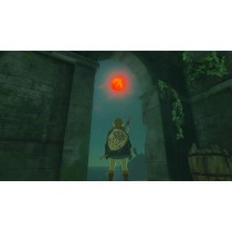 Video game for Switch Nintendo TLOZ TEA OFTKIN