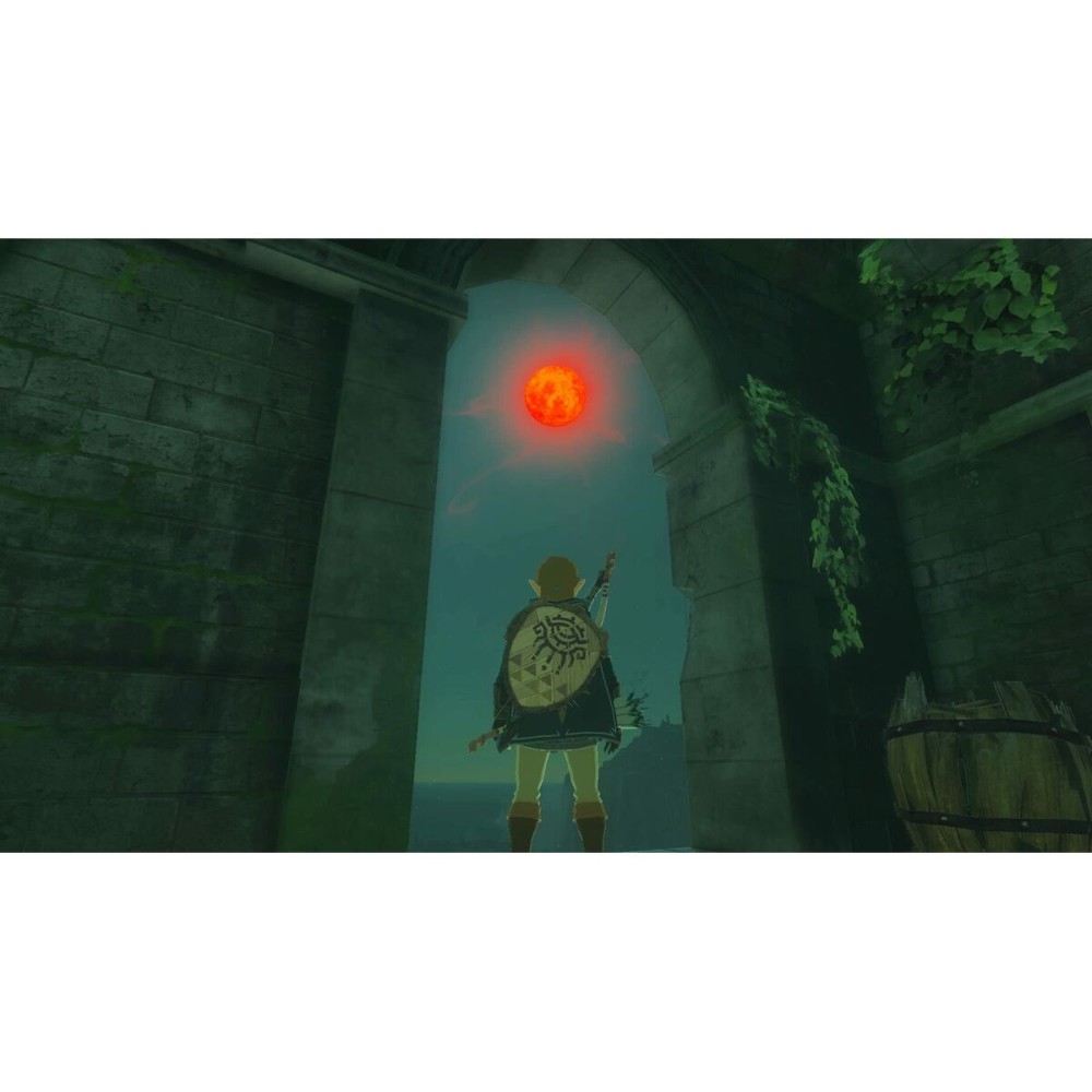 Videospiel für Switch Nintendo TLOZ TEA OFTKIN