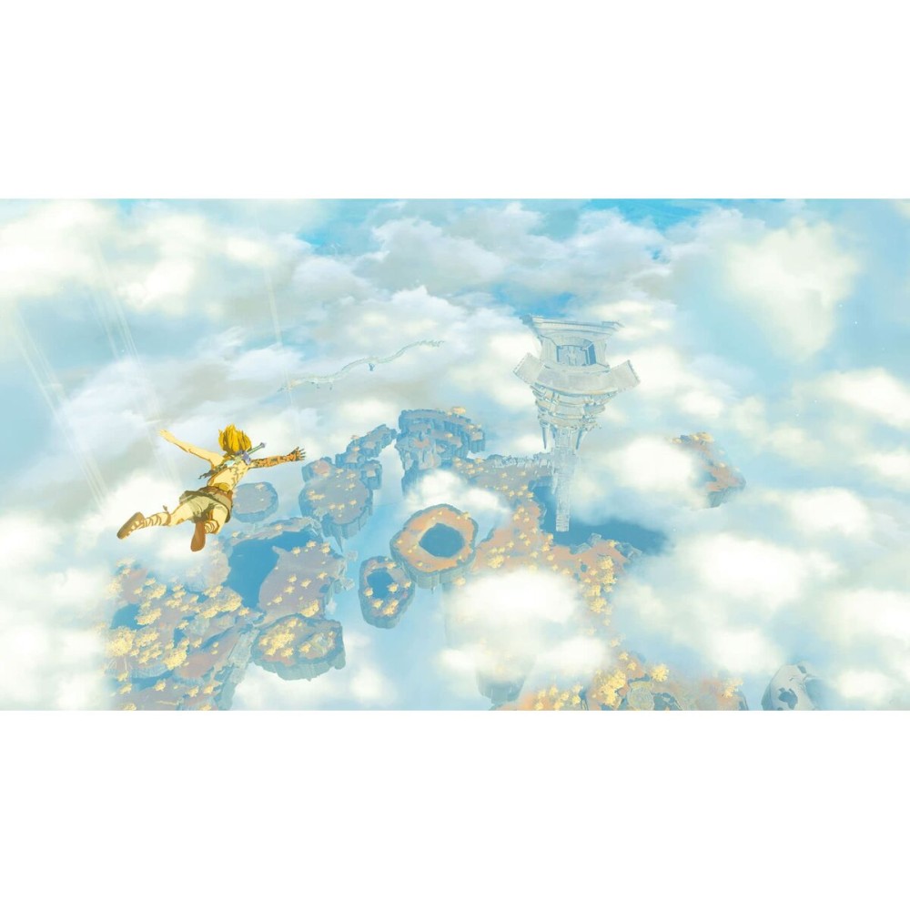 Video game for Switch Nintendo TLOZ TEA OFTKIN