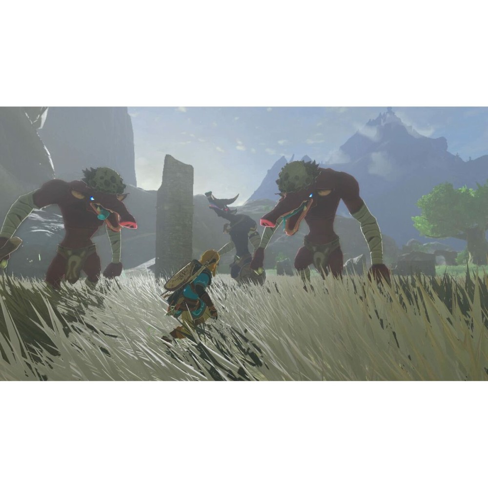 Videospiel für Switch Nintendo TLOZ TEA OFTKIN