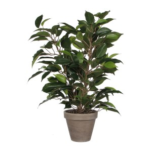 Dekorationspflanze Mica Decorations 40 x 30 cm aus Keramik grün PVC Ficus