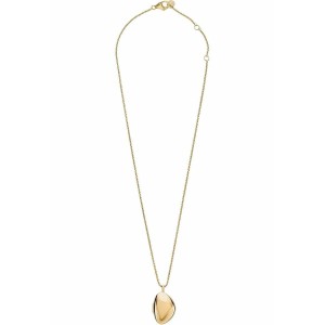 Ladies' Pendant Skagen SKJ1750710 Golden
