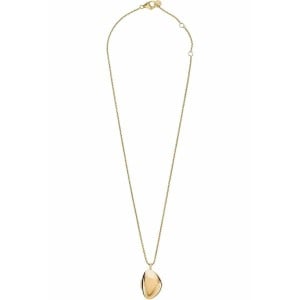 Pendentif Femme Skagen SKJ1750710 Doré