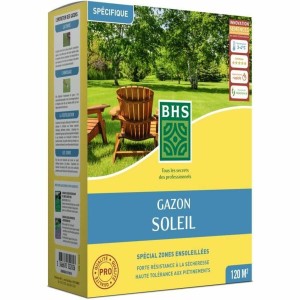 Seeds BHS 3 Kg