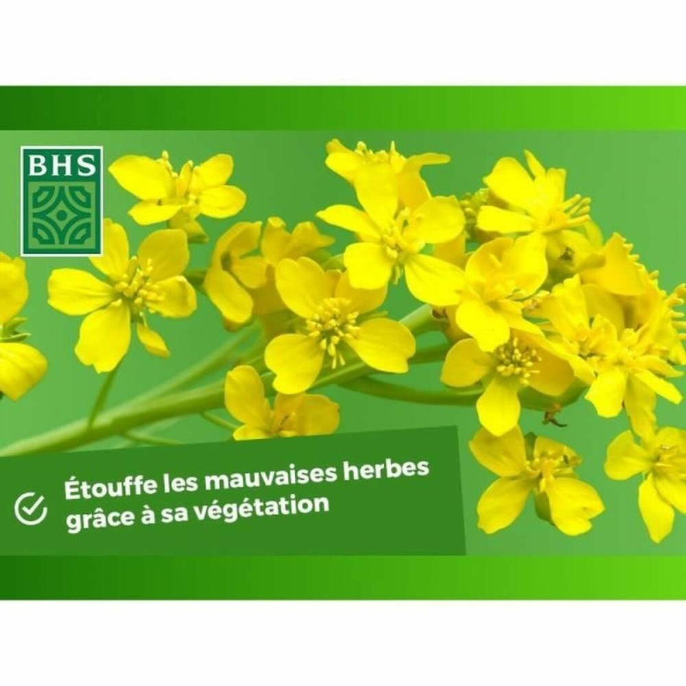 Pflanzendünger BHS 500 g