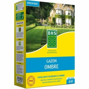 Graines BHS 1 kg