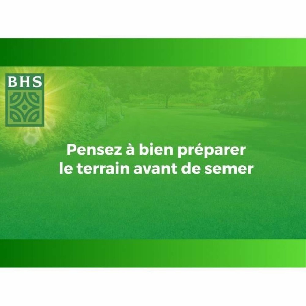 Graines BHS 1 kg
