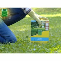 Graines BHS 1 kg