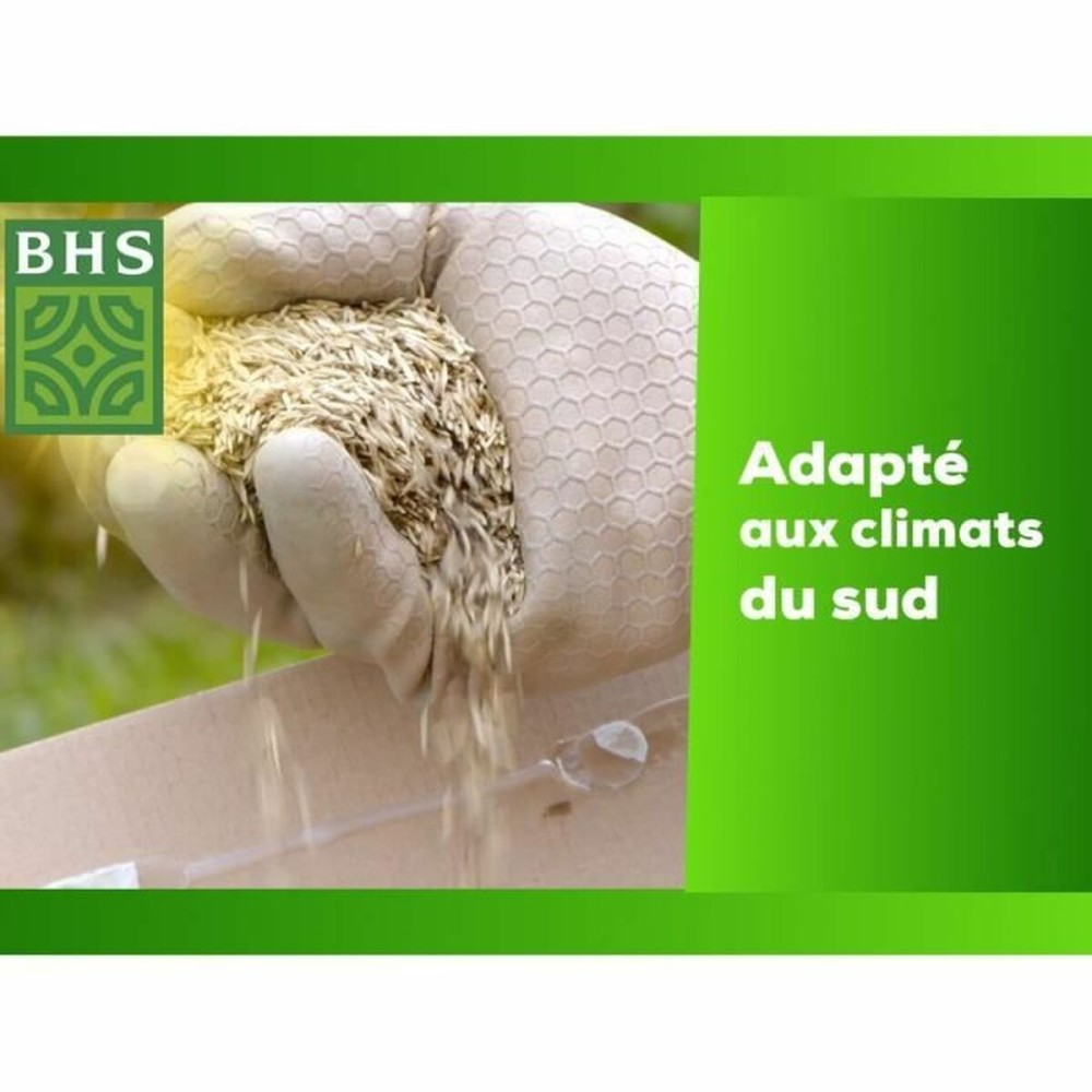 Graines BHS 1 kg