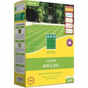 Graines BHS 1 kg
