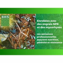 Graines BHS 1 kg