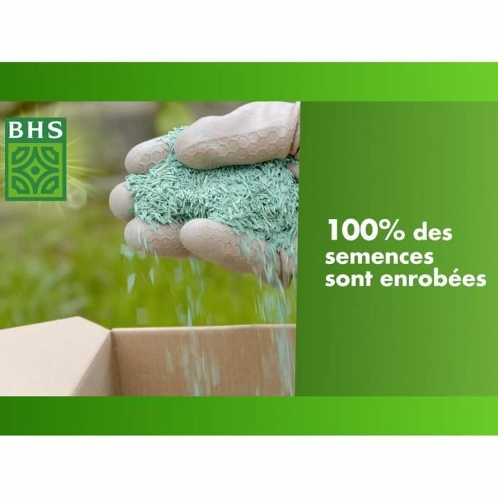 Graines BHS 1 kg