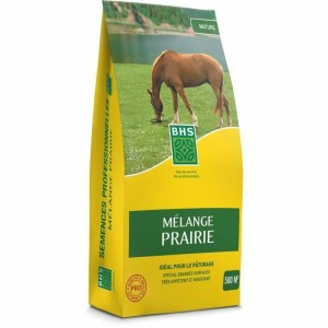 Graines BHS 5 kg