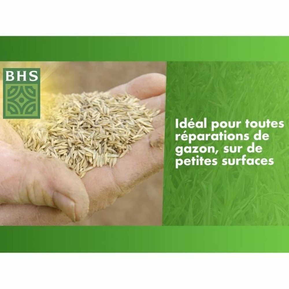 Graines BHS 500 g