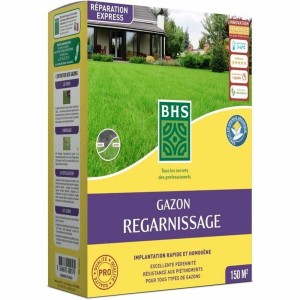 Graines BHS 3 Kg