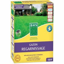 Graines BHS 3 Kg