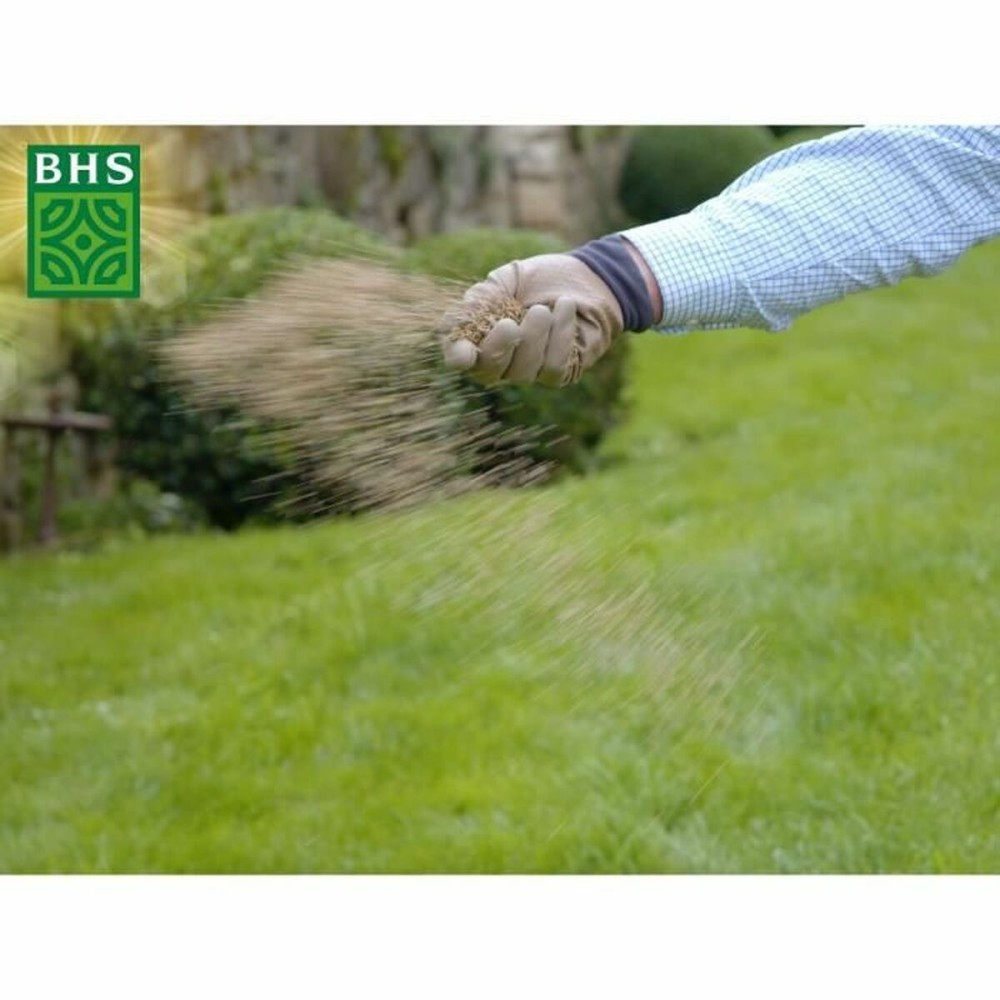 Graines BHS 3 Kg