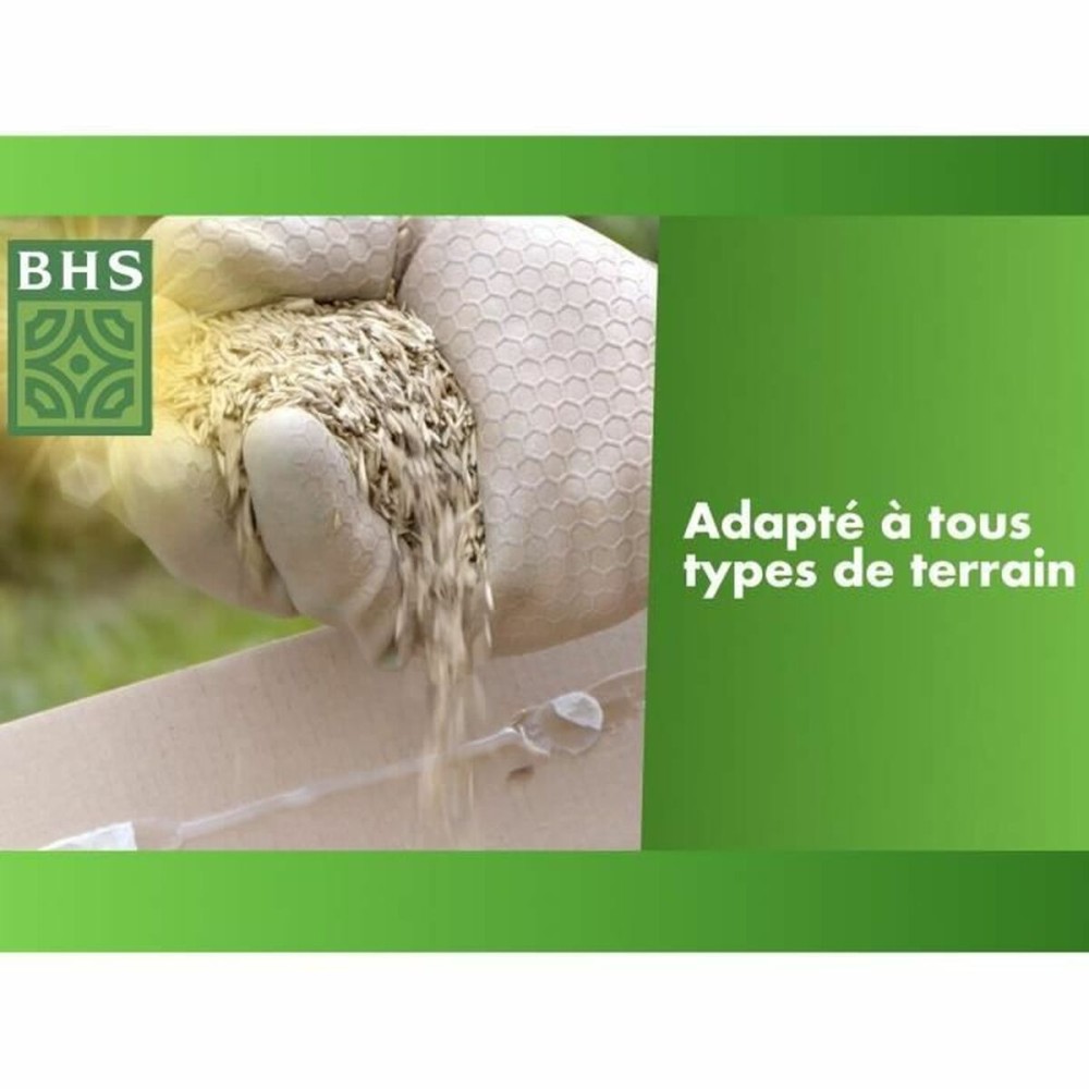 Graines BHS 3 Kg