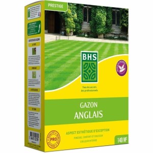 Graines BHS 3 Kg