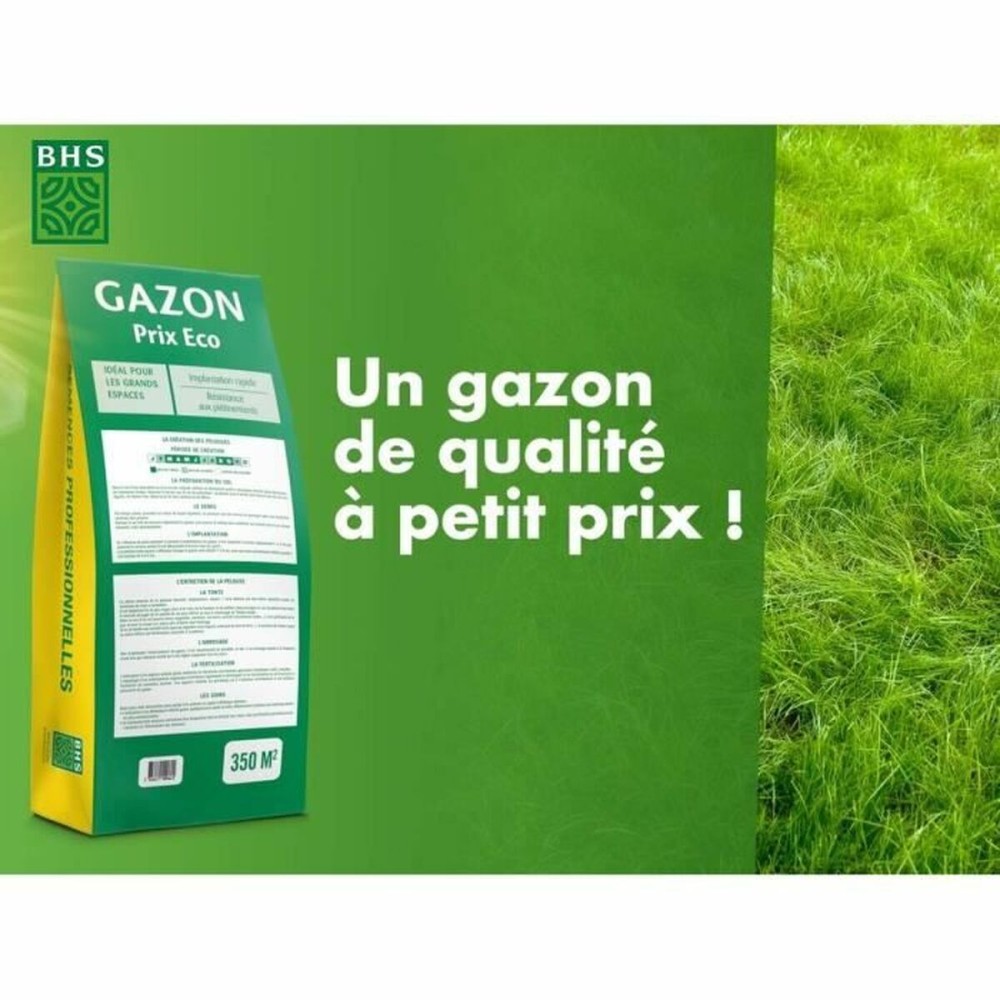 Graines BHS 10 kg