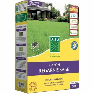 Graines BHS 1 kg