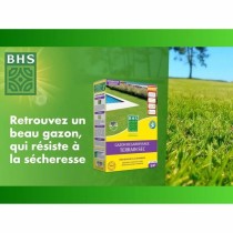 Graines BHS 1 kg