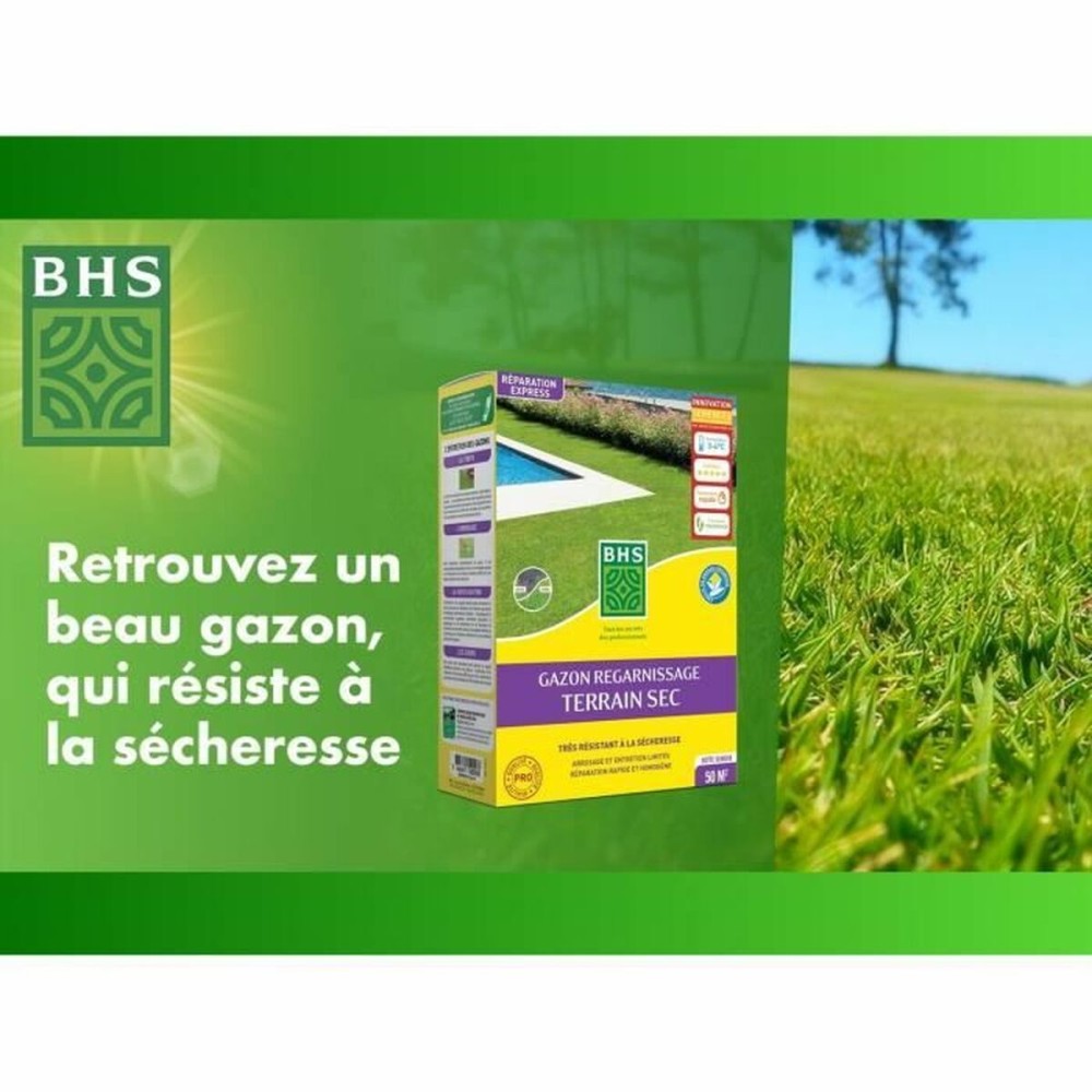 Graines BHS 1 kg