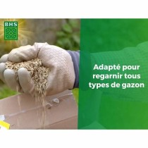 Graines BHS 1 kg