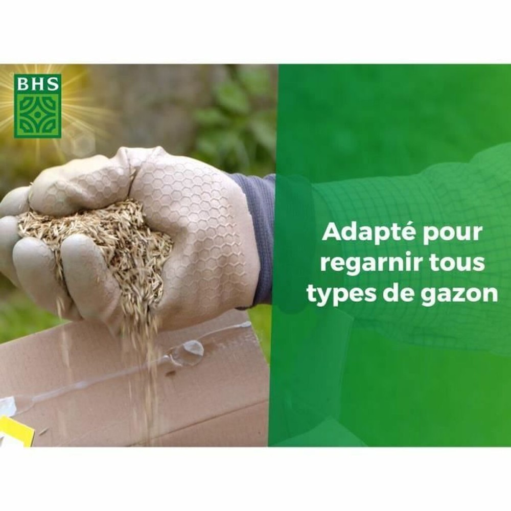 Graines BHS 1 kg