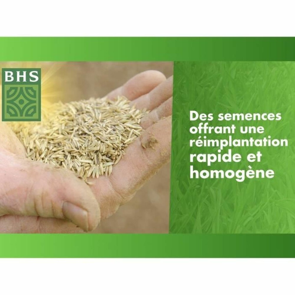 Graines BHS 1 kg