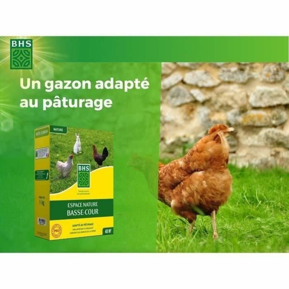 Graines BHS 1 kg