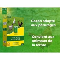 Graines BHS 1 kg